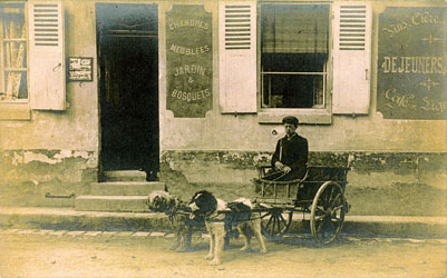 Attelage de chiens Vieux-Moulin Oise
